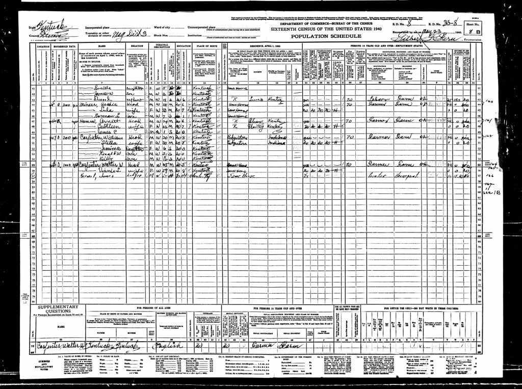 census image