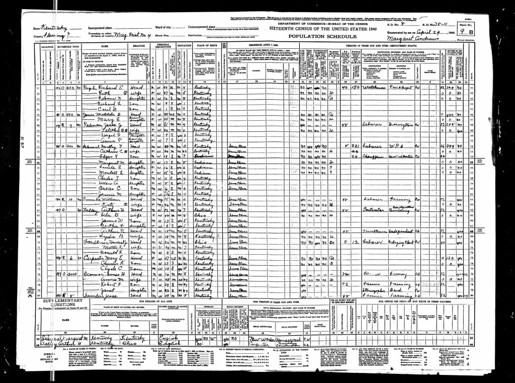 census image