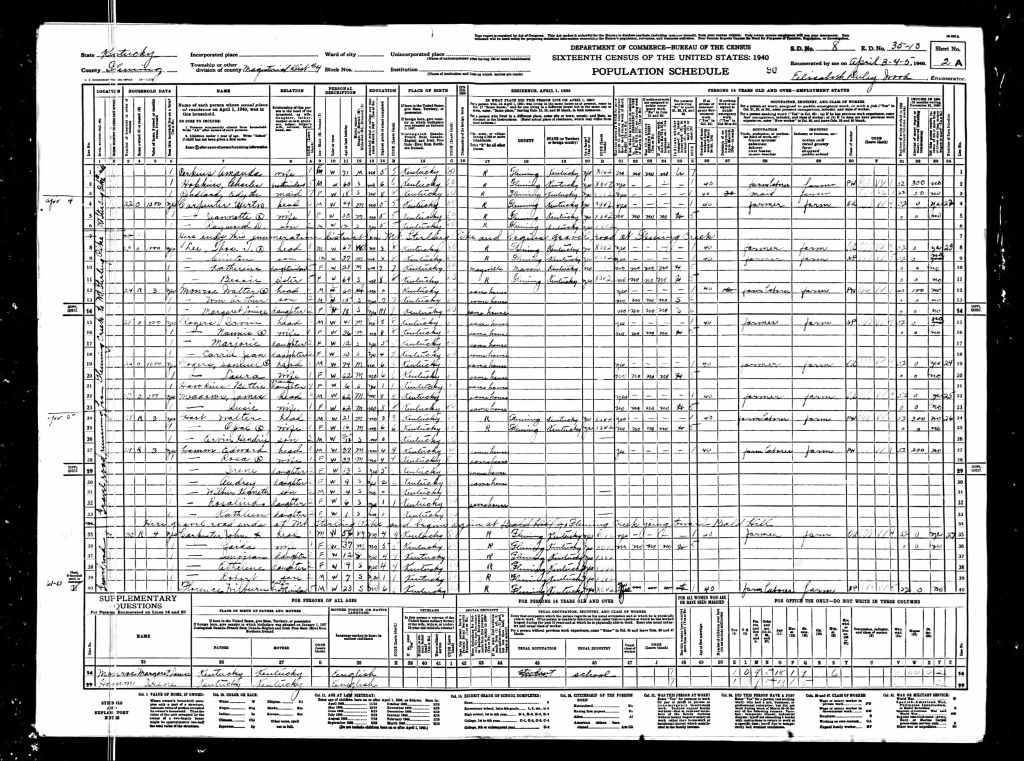 census image