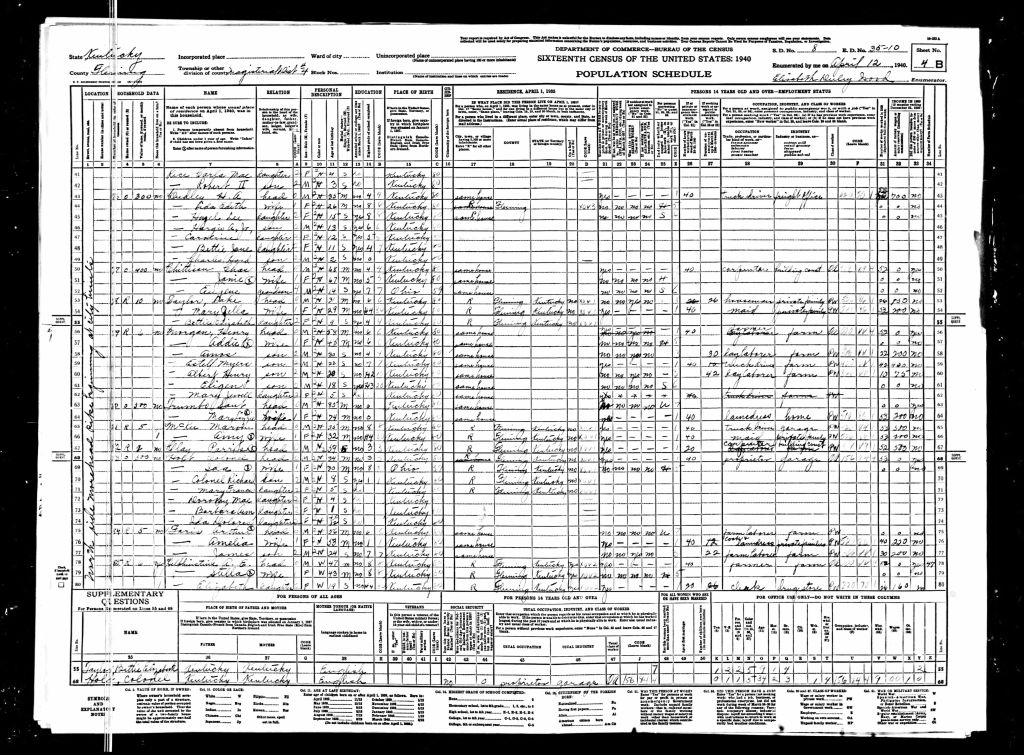 census image