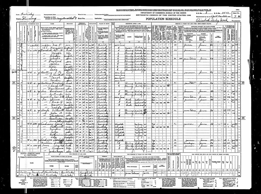 census image