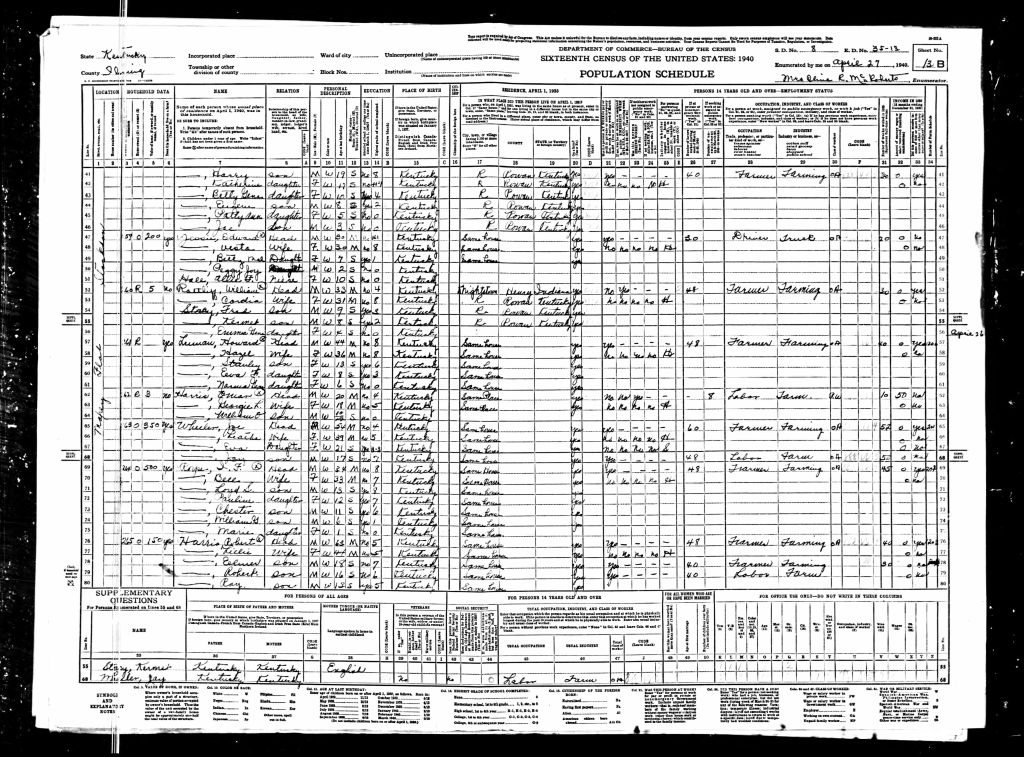 census image