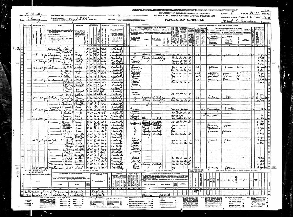 census image