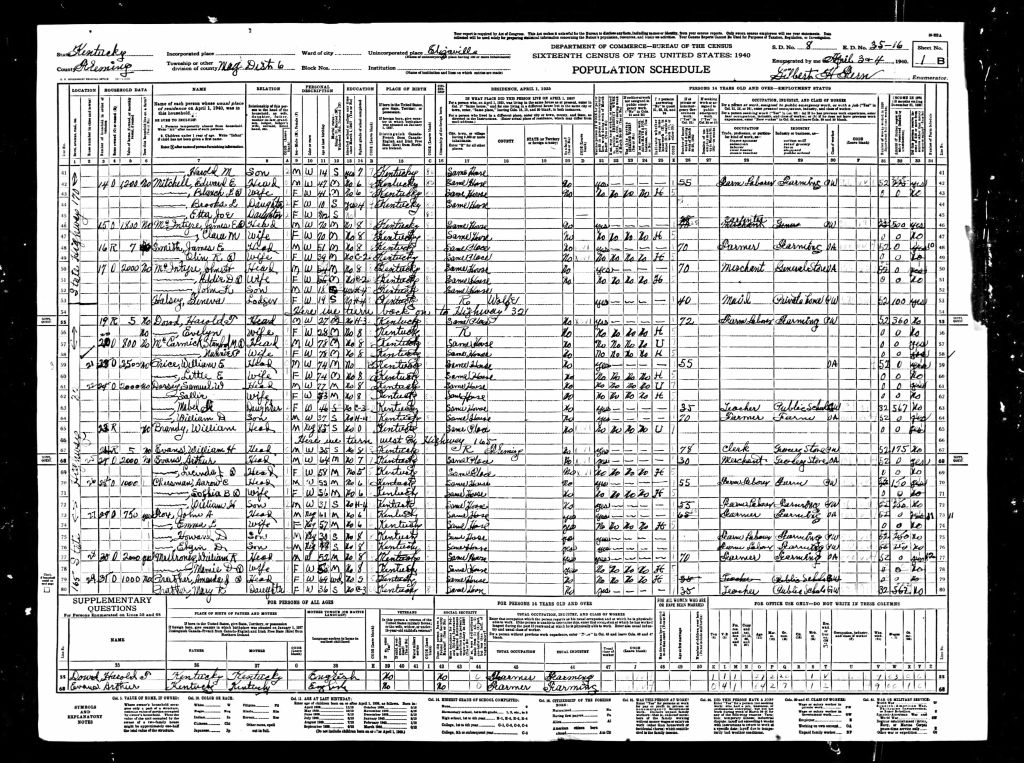 census image