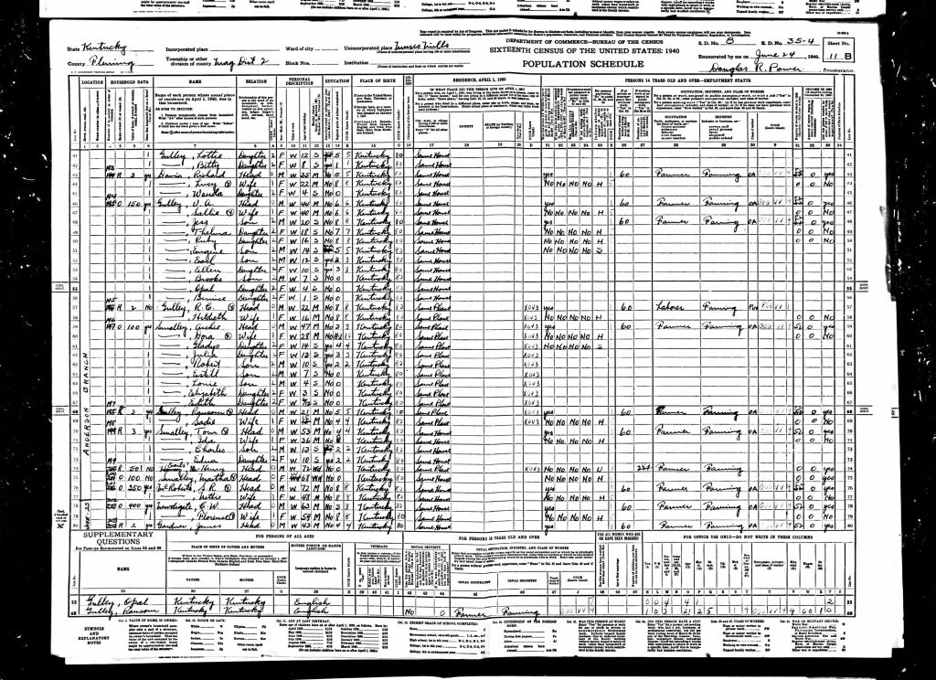 census image