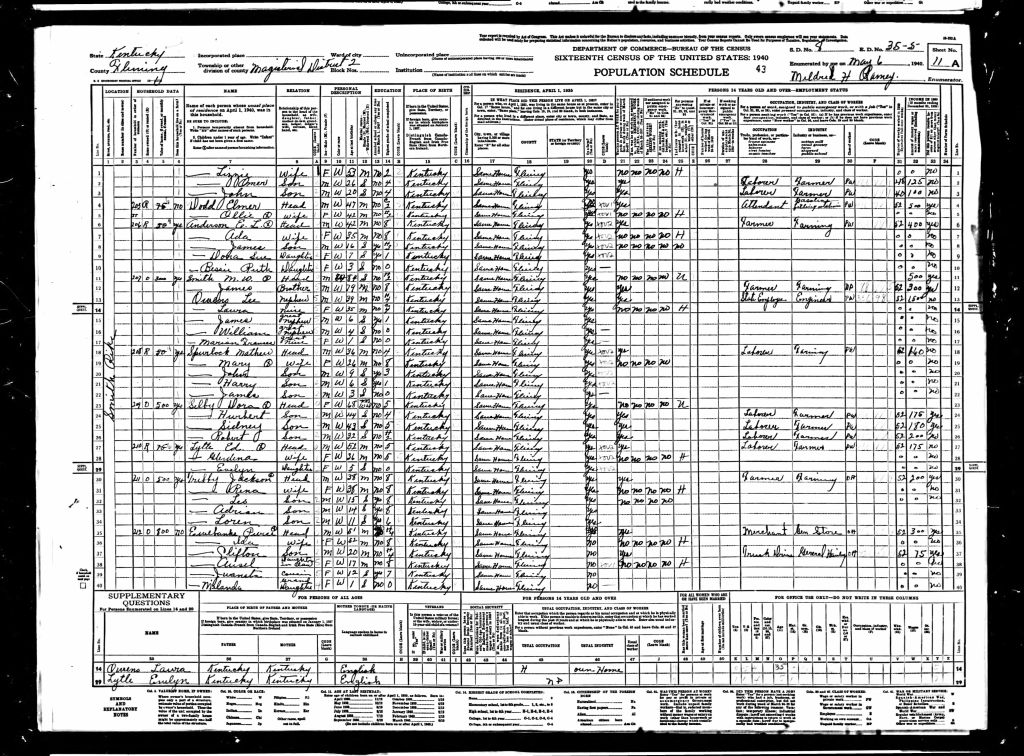 census image