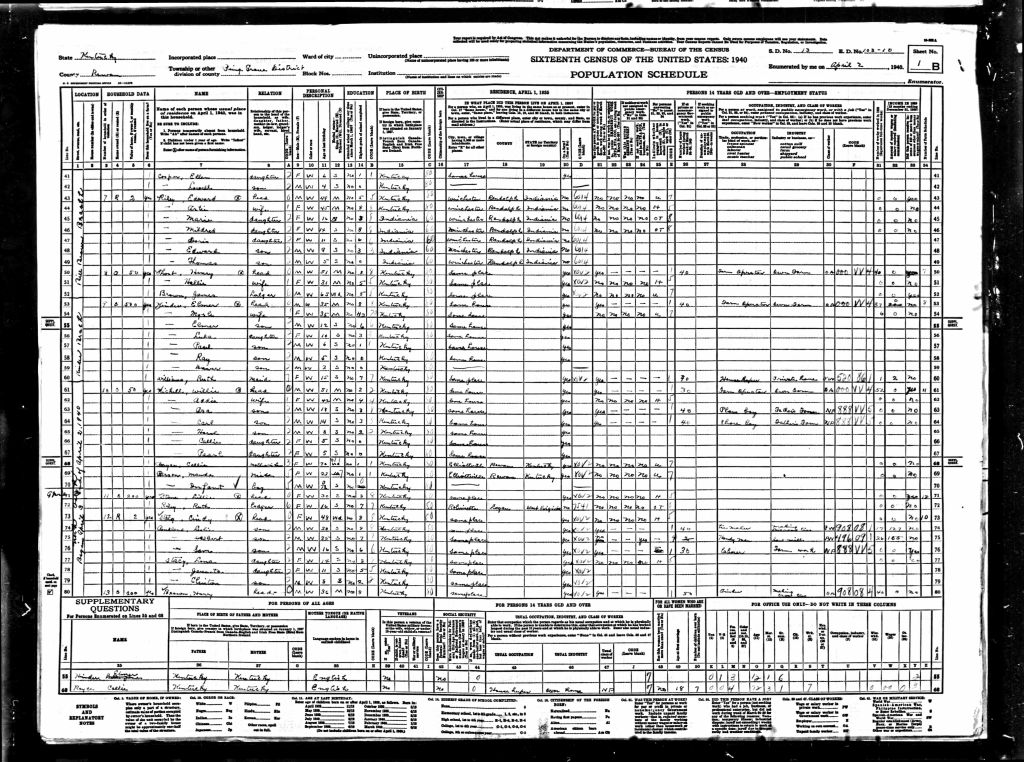 census image