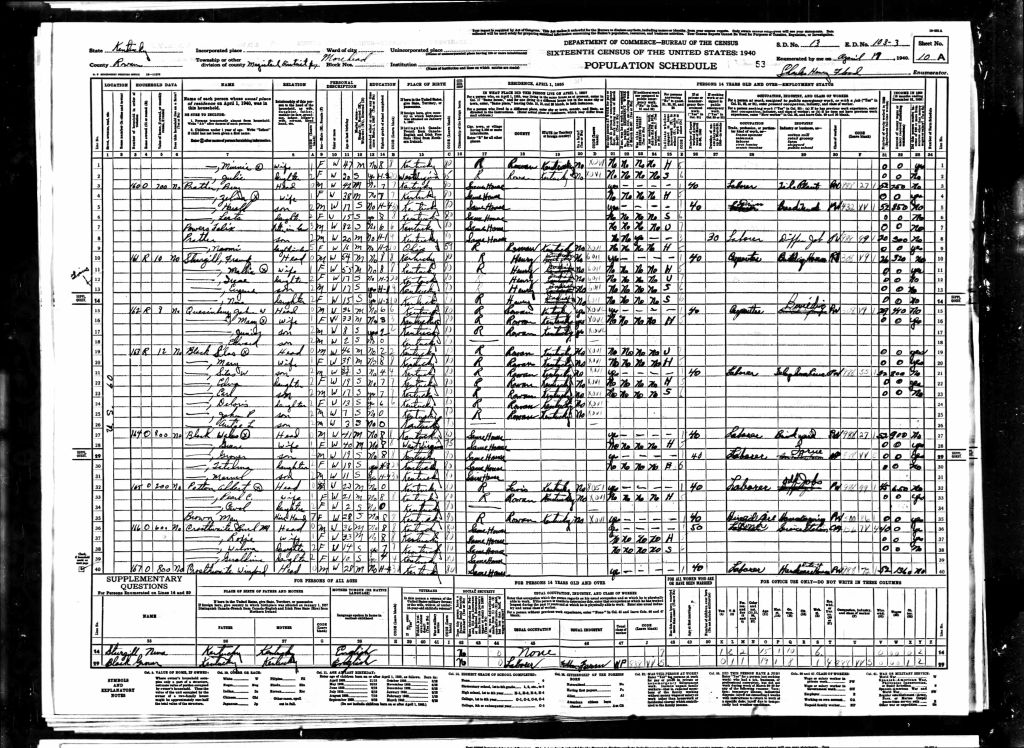 census image