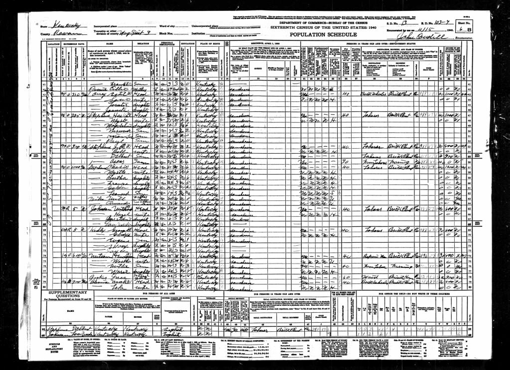 census image