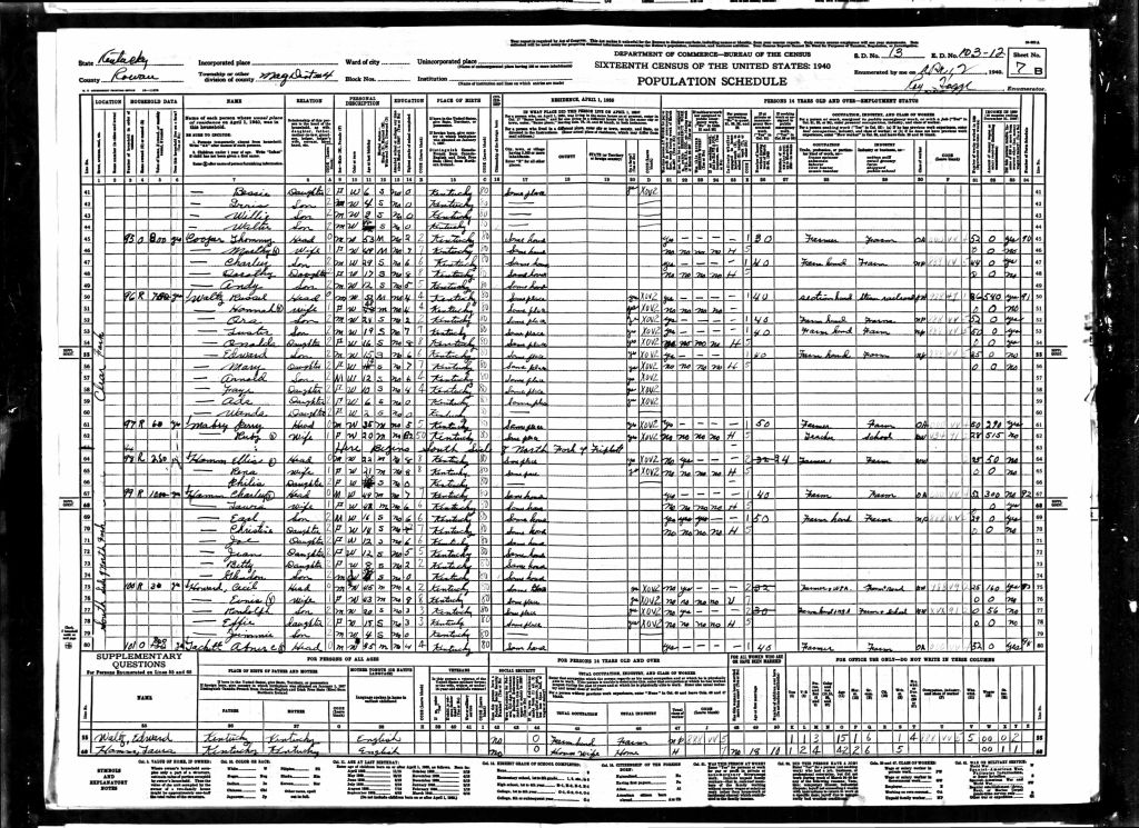 census image