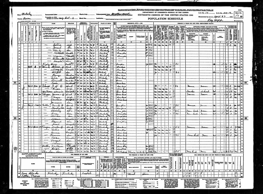 census image