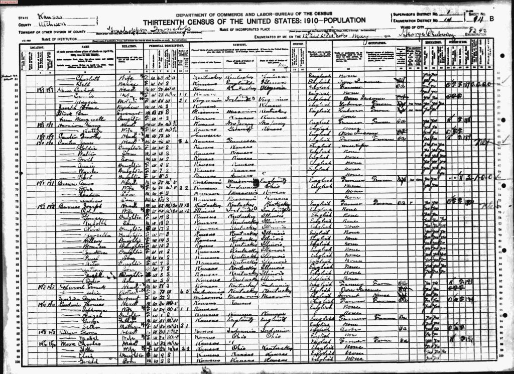 census image