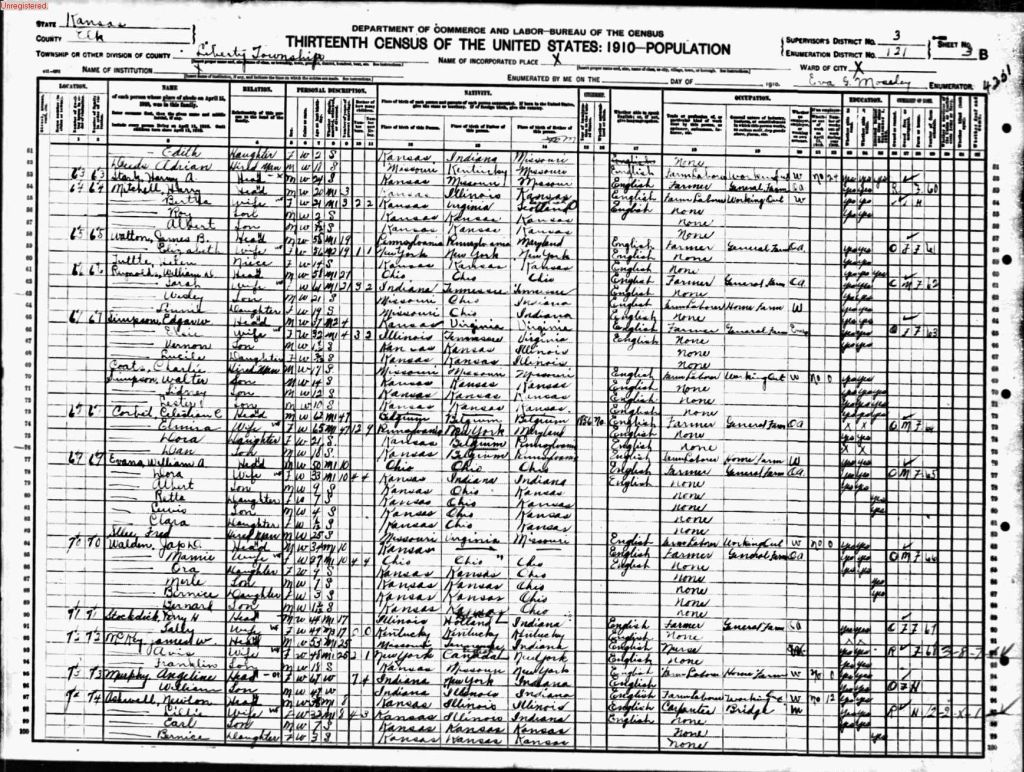 census image