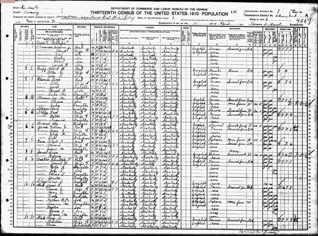 census image