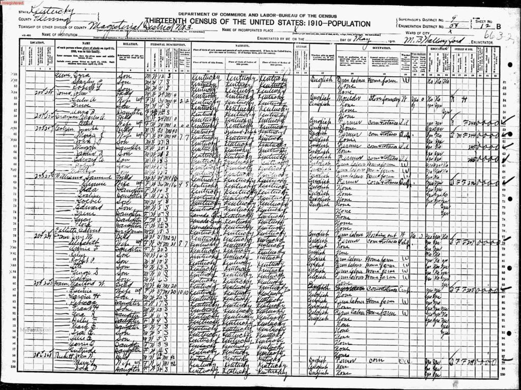census image