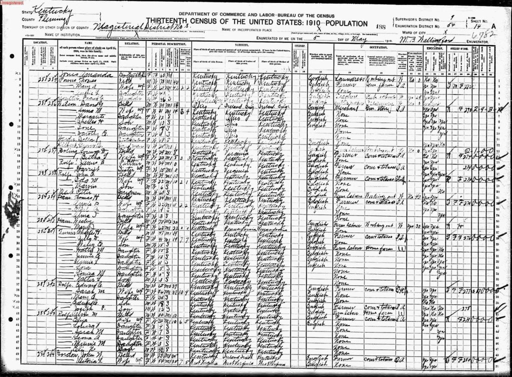 census image