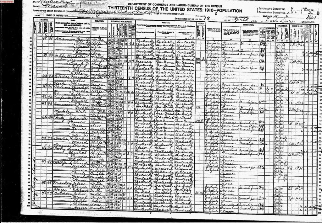 census image