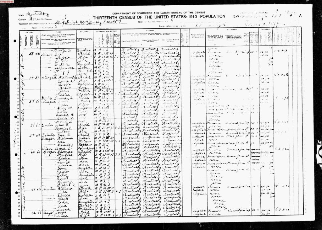 census image
