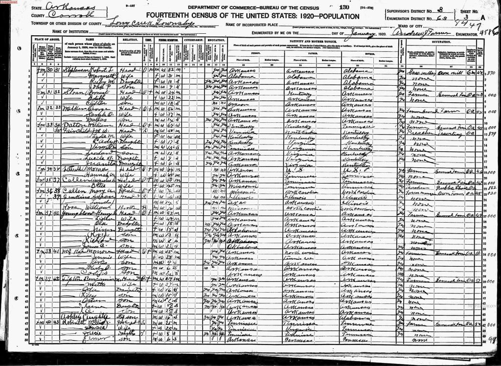 census image
