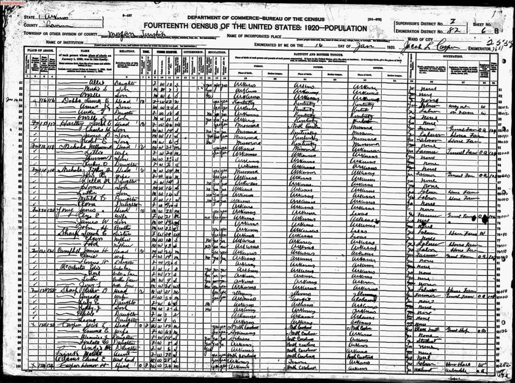 census image