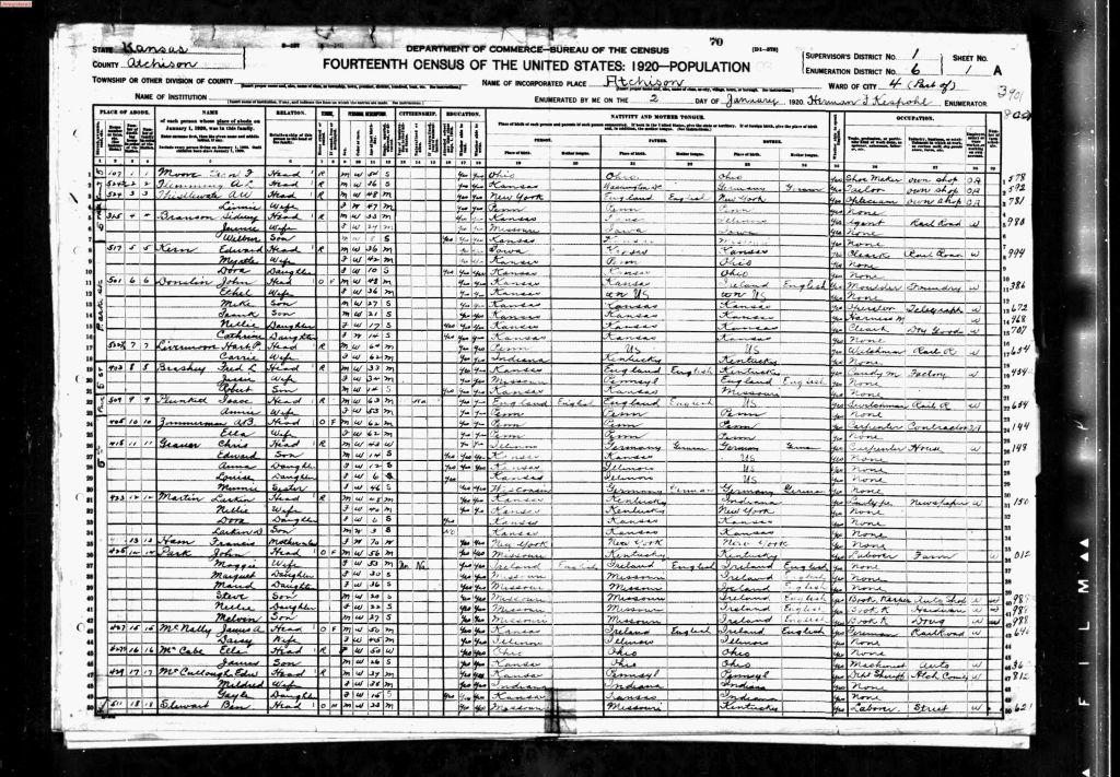 census image