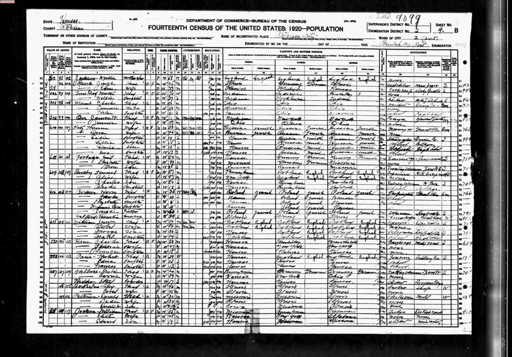 census image