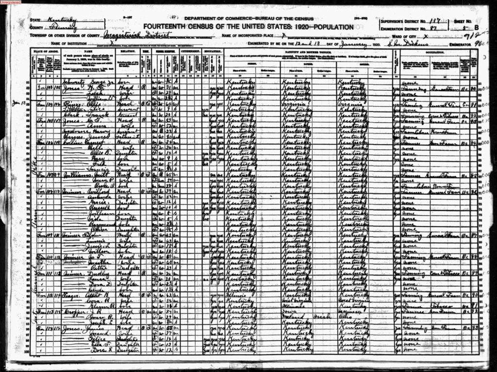 census image