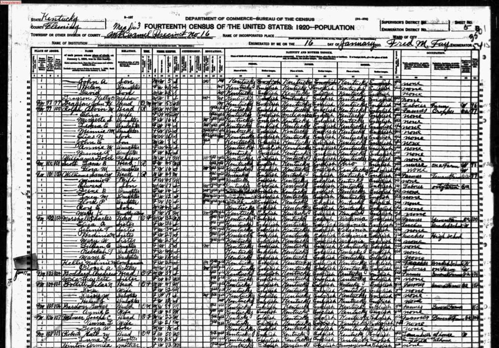 census image
