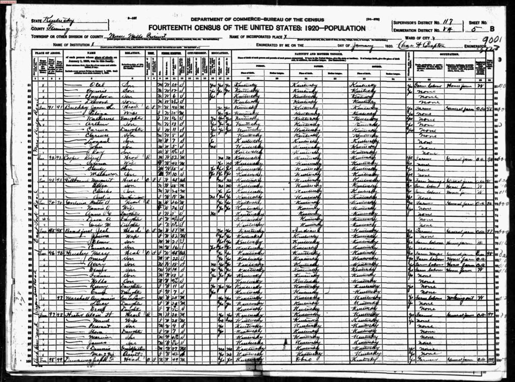 census image
