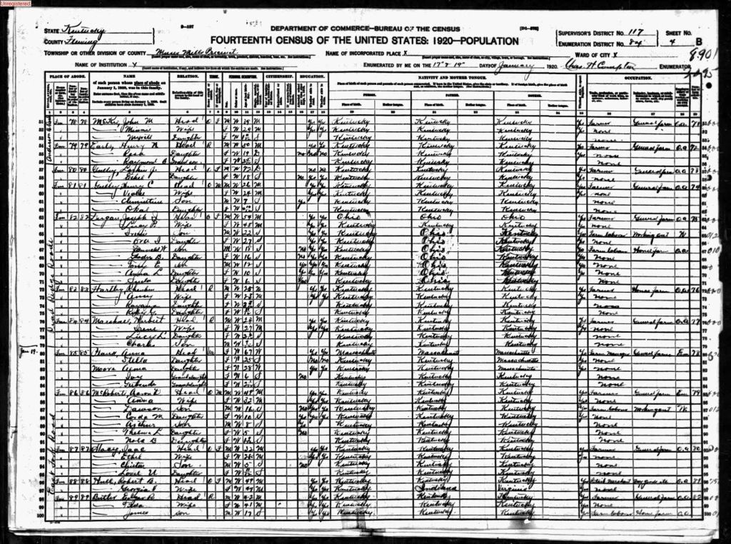 census image