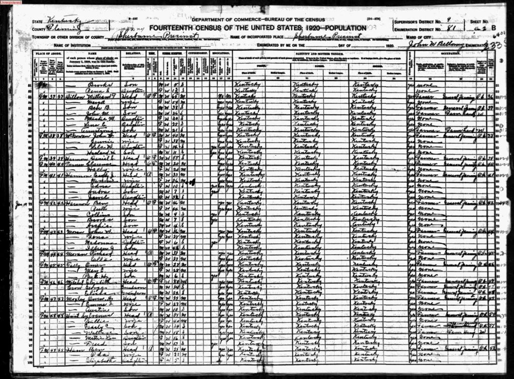 census image