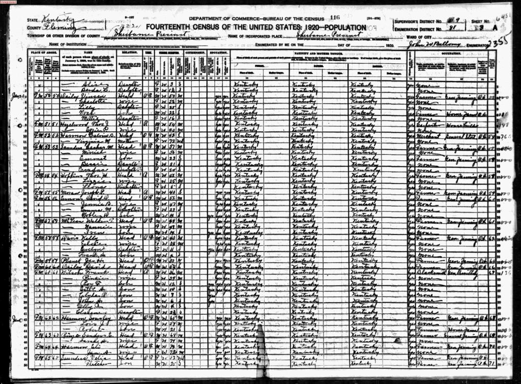 census image