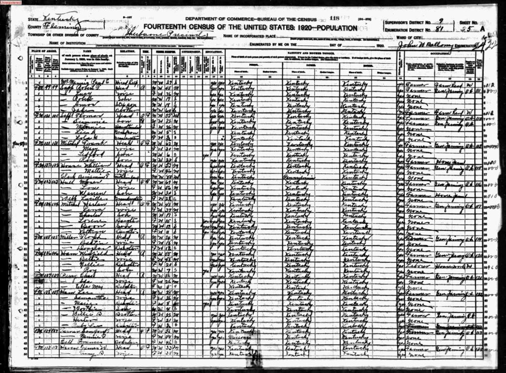 census image