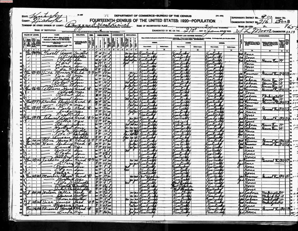 census image