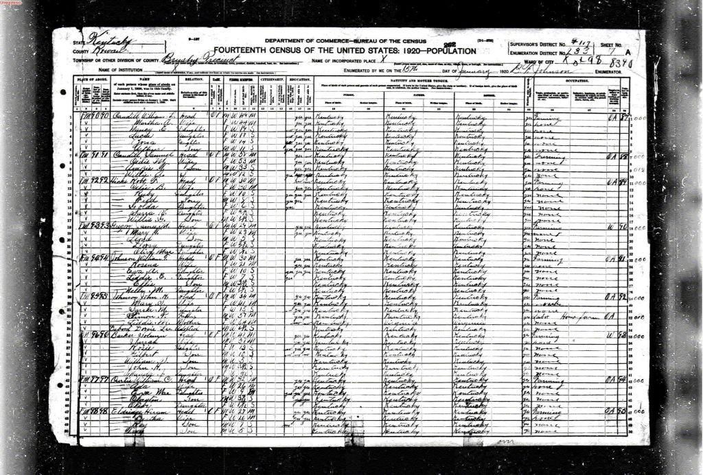 census image