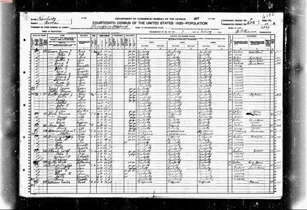 census image