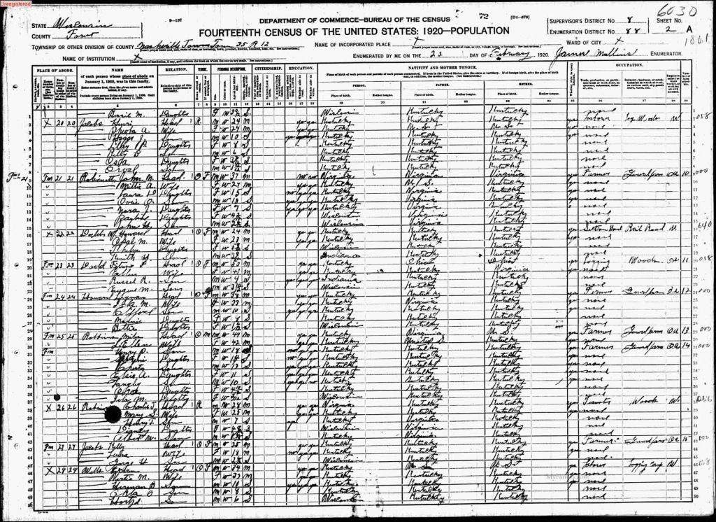 census image